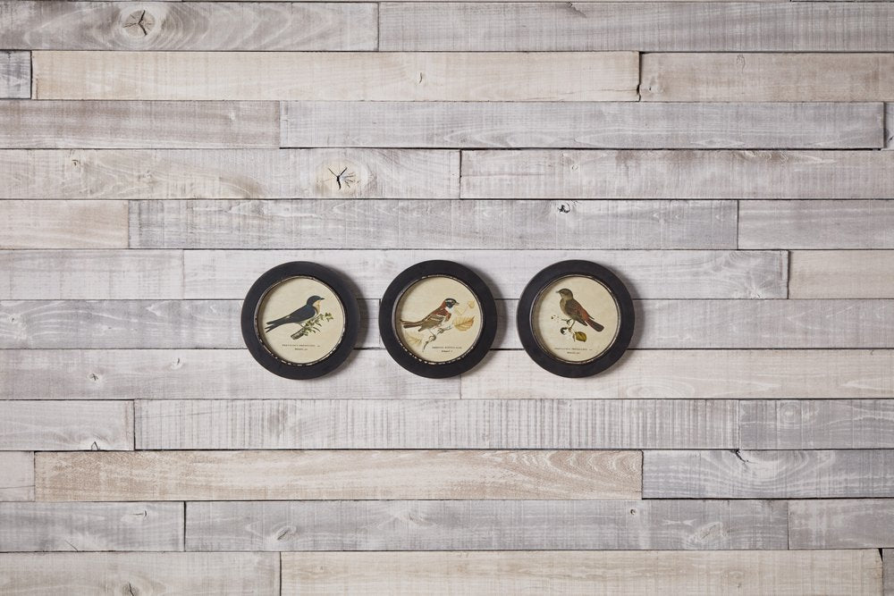 Set of Three Black Bird Circle Framed Art
