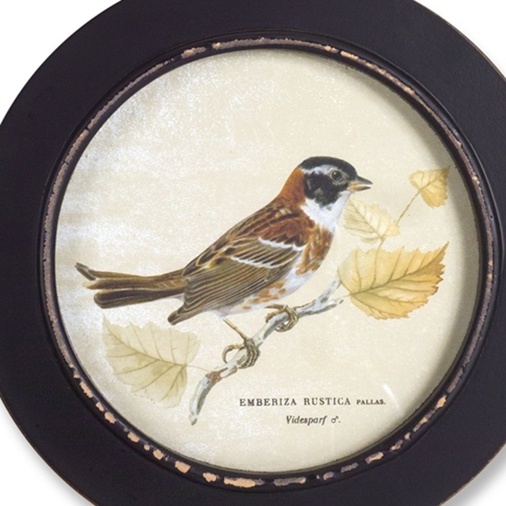 Set of Three Black Bird Circle Framed Art