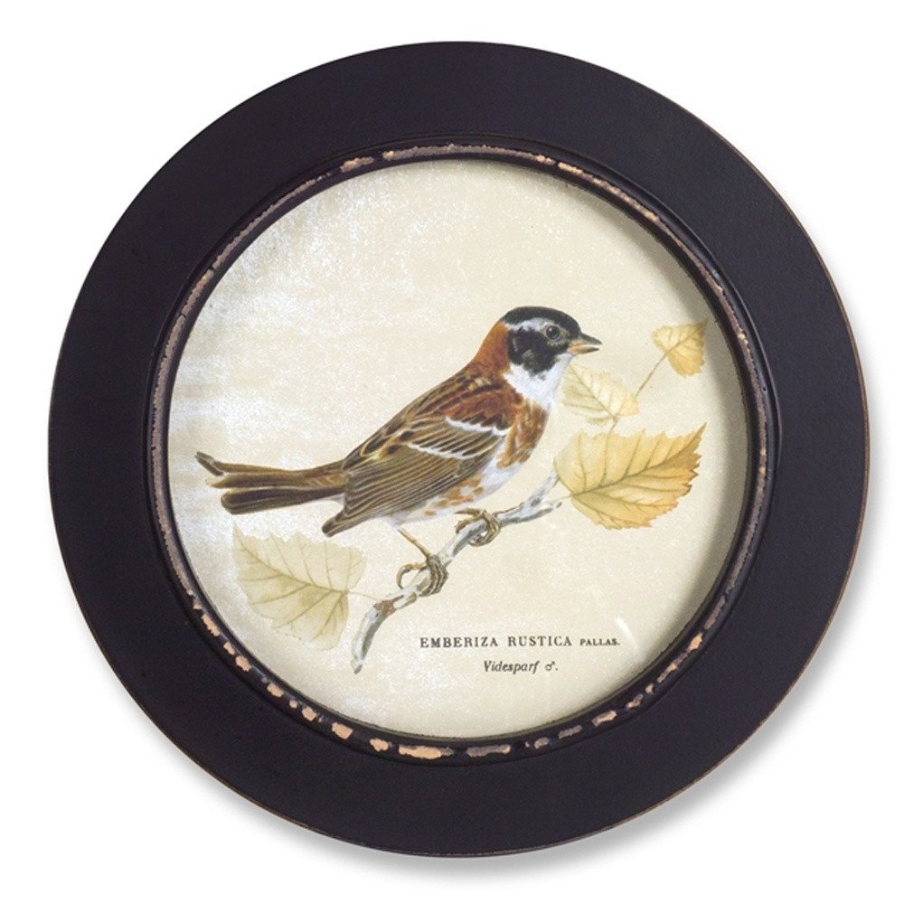 Set of Three Black Bird Circle Framed Art