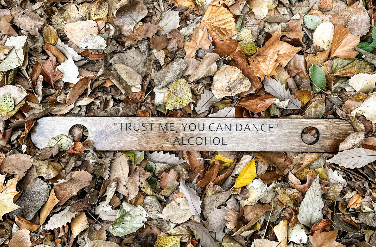 "Trust Me, You Can Dance" 2 Person Shot-Ski