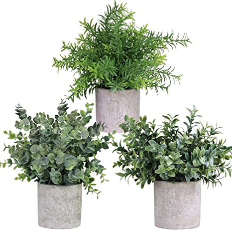 Greenery Decor Trio