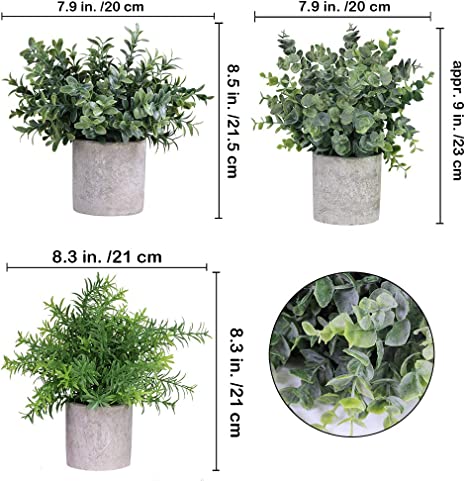 Greenery Decor Trio