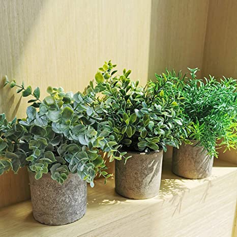 Greenery Decor Trio