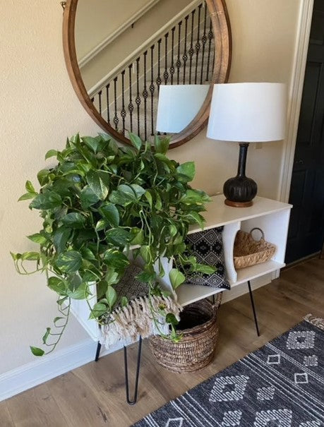 Entryway Credenza in Soft White, Tall