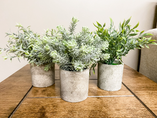 Greenery Decor Trio