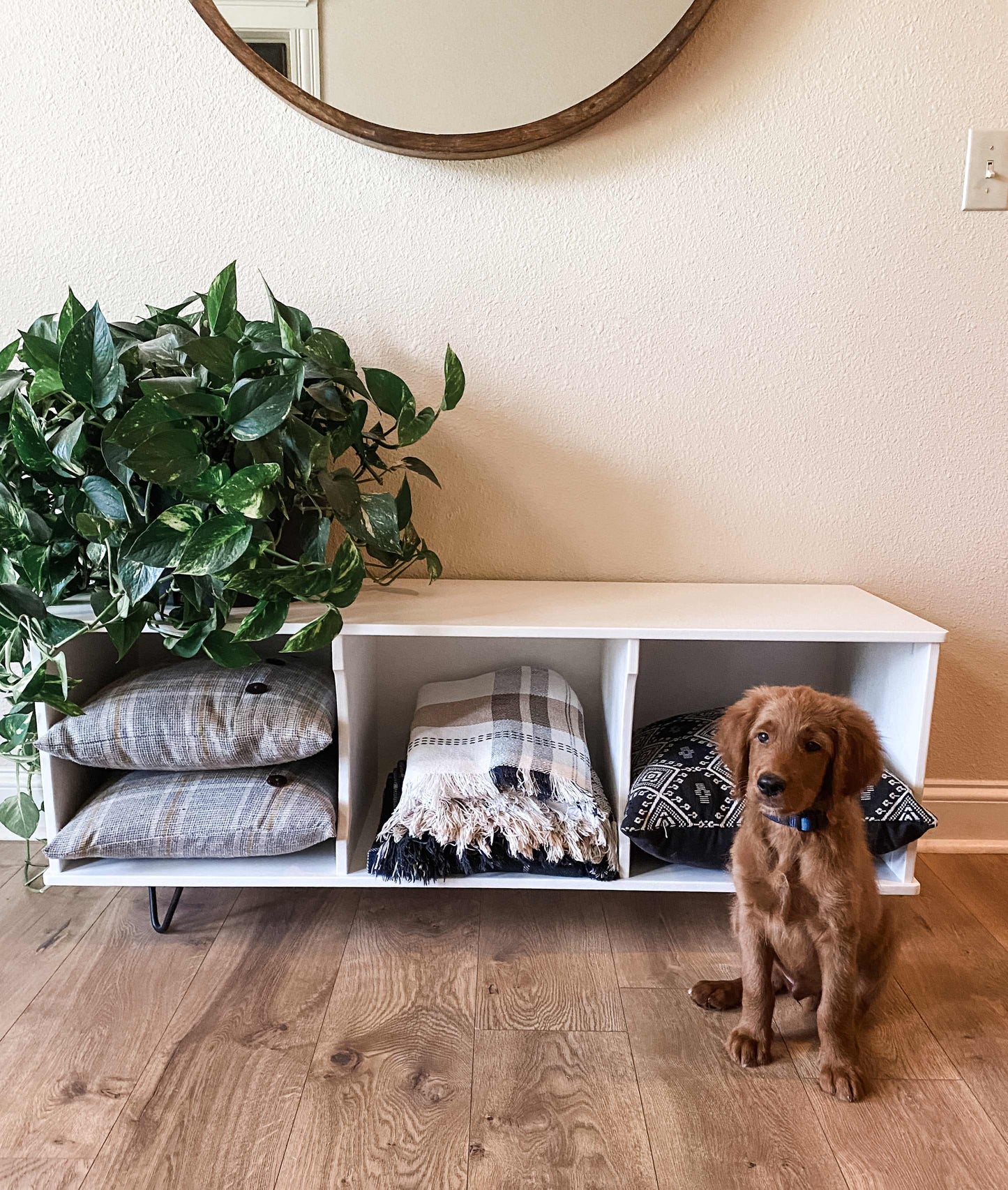 Entryway Credenza in Soft White, Short
