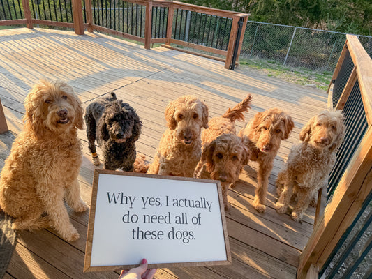 "Why Yes, I Actually Do Need All of These Dogs" Sign