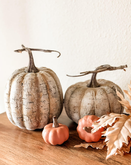 White birch look pumpkin set