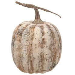 White birch look pumpkin set